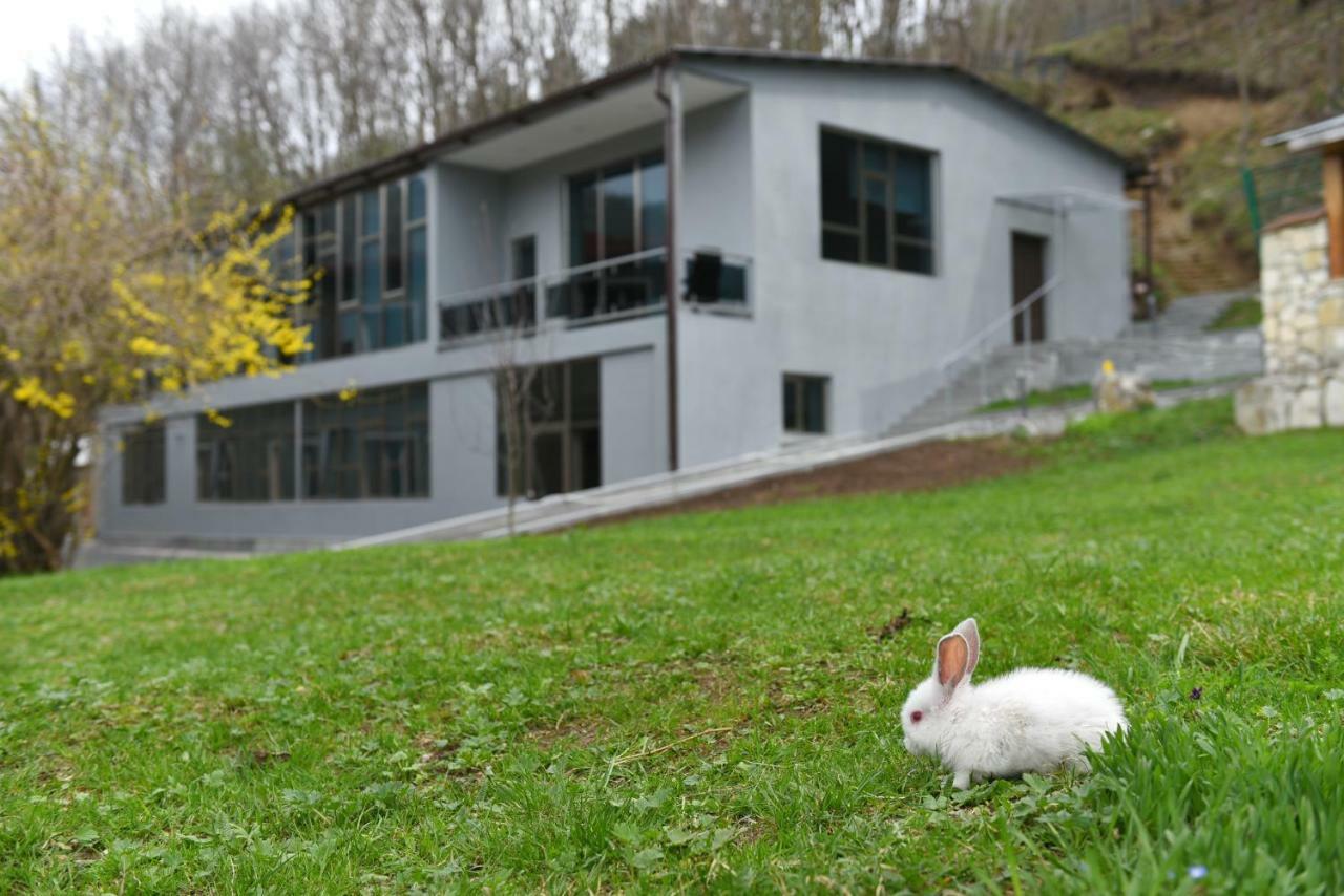 Greenwood Hotel Dilijan Exteriör bild